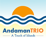 Andaman Trio