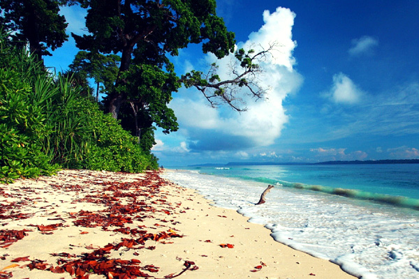 Best of  Andaman